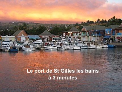 Prana Lodge Saint Gilles Les Bains 800 M De La Plage Exterior foto